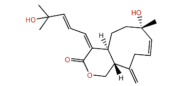 Isoxeniatine A